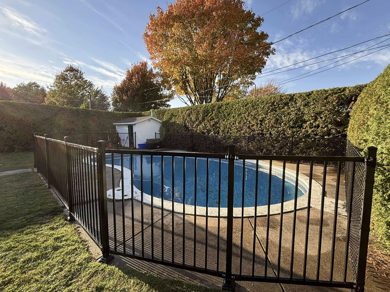 Piscine dans le jardin à Waterloo