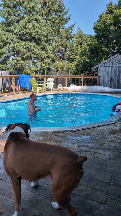 Piscine à Waterloo